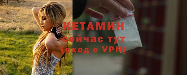 прущие грибы Няндома