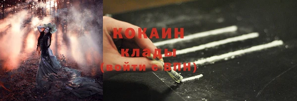 прущие грибы Няндома