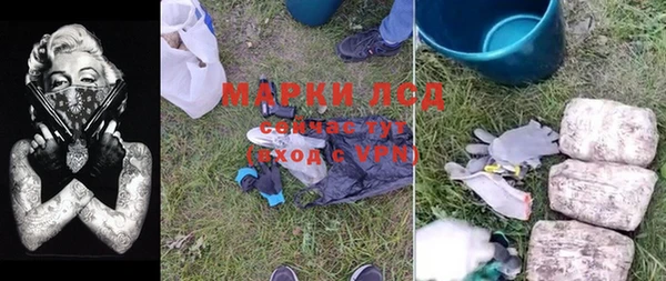 прущие грибы Няндома
