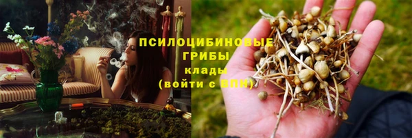 прущие грибы Няндома