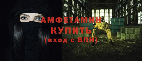 прущие грибы Няндома